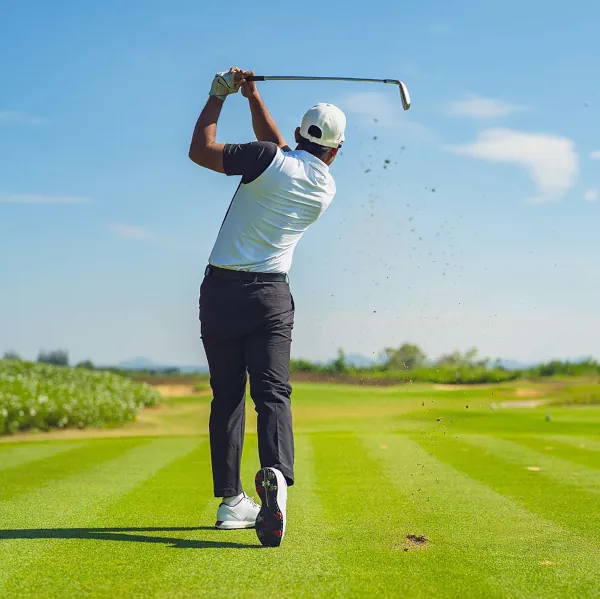 the royal birkdale course